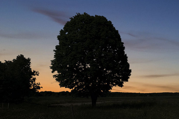 Wahrheit und Wahrnehmung